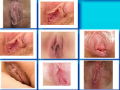 Pussy Connect